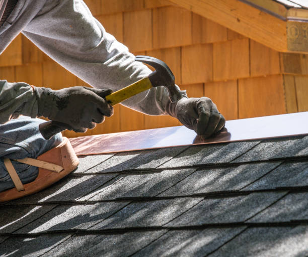 Best Roof Gutter Cleaning  in Somers, MT